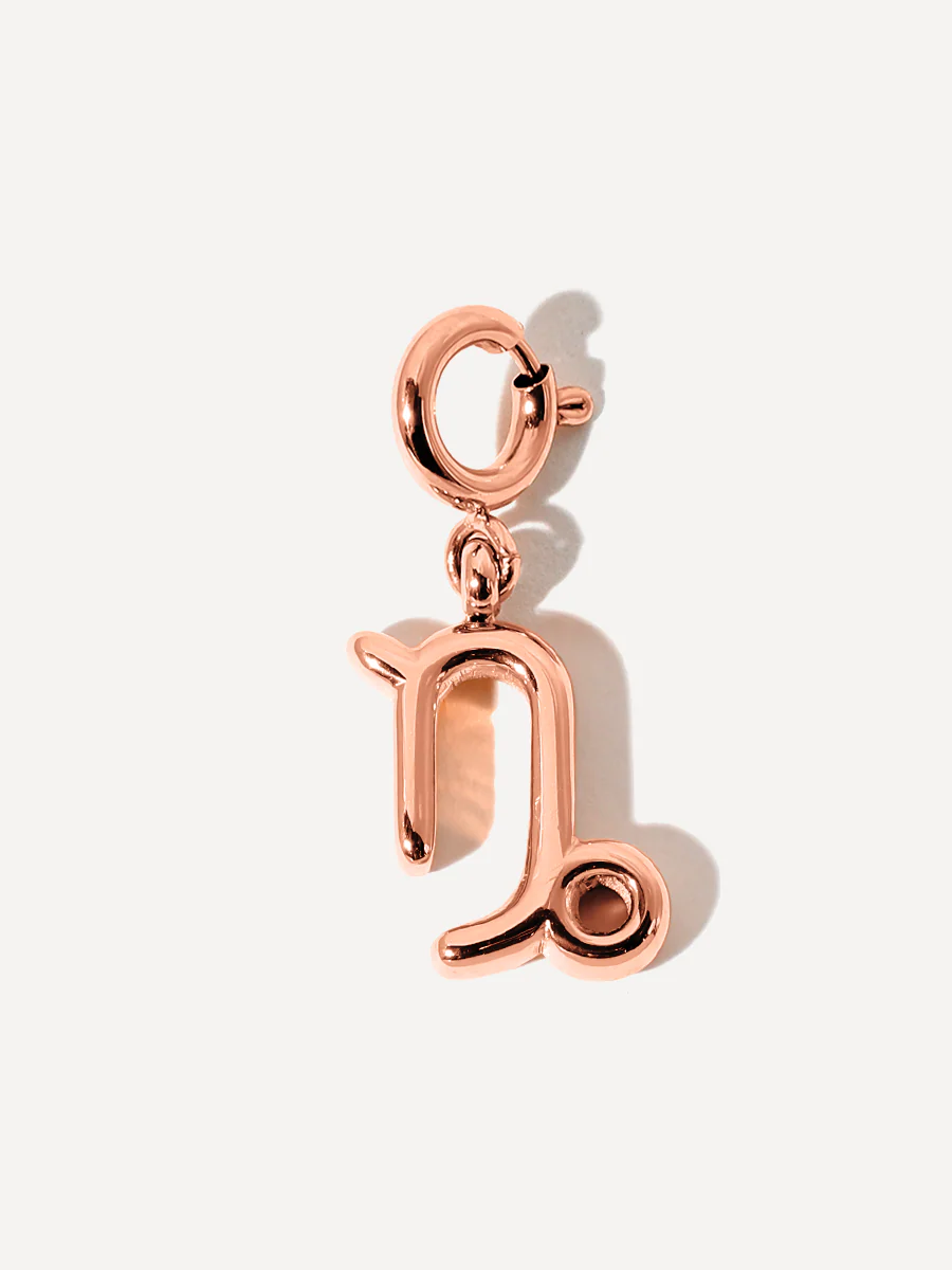 Classic Zodiac Ketten-Charm - Capricorn - Image 6