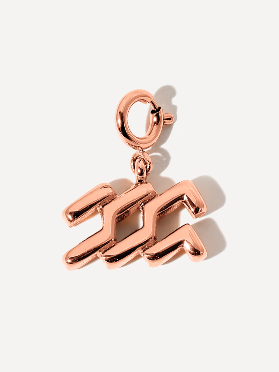 Classic Zodiac Ketten-Charm - Aquarius - Image 6