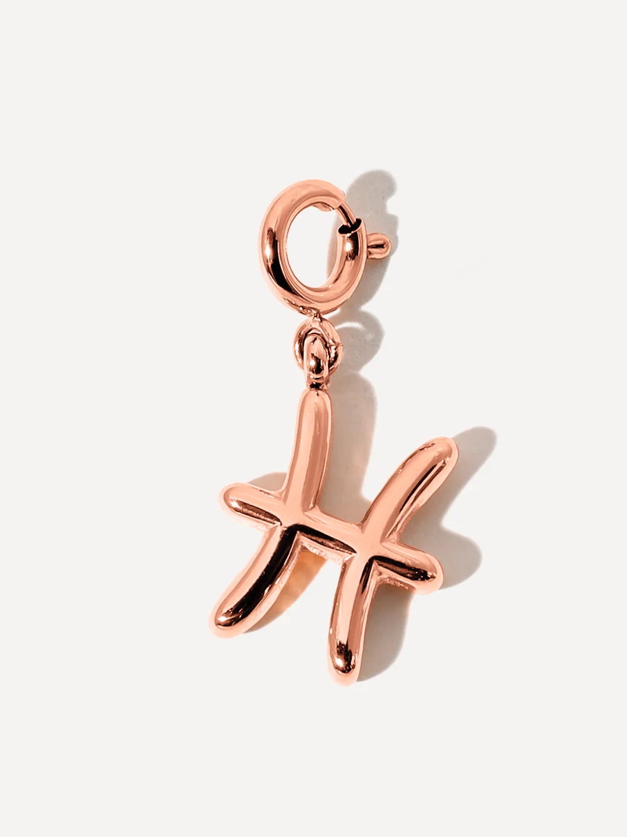 Classic Zodiac Ketten-Charm - Pisces - Image 7