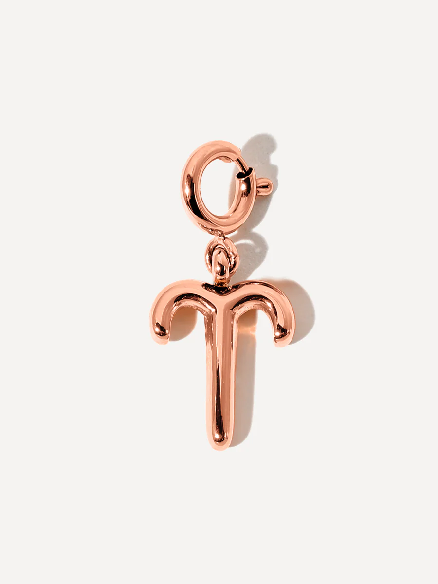 Classic Zodiac Ketten-Charm - Aries - Image 7
