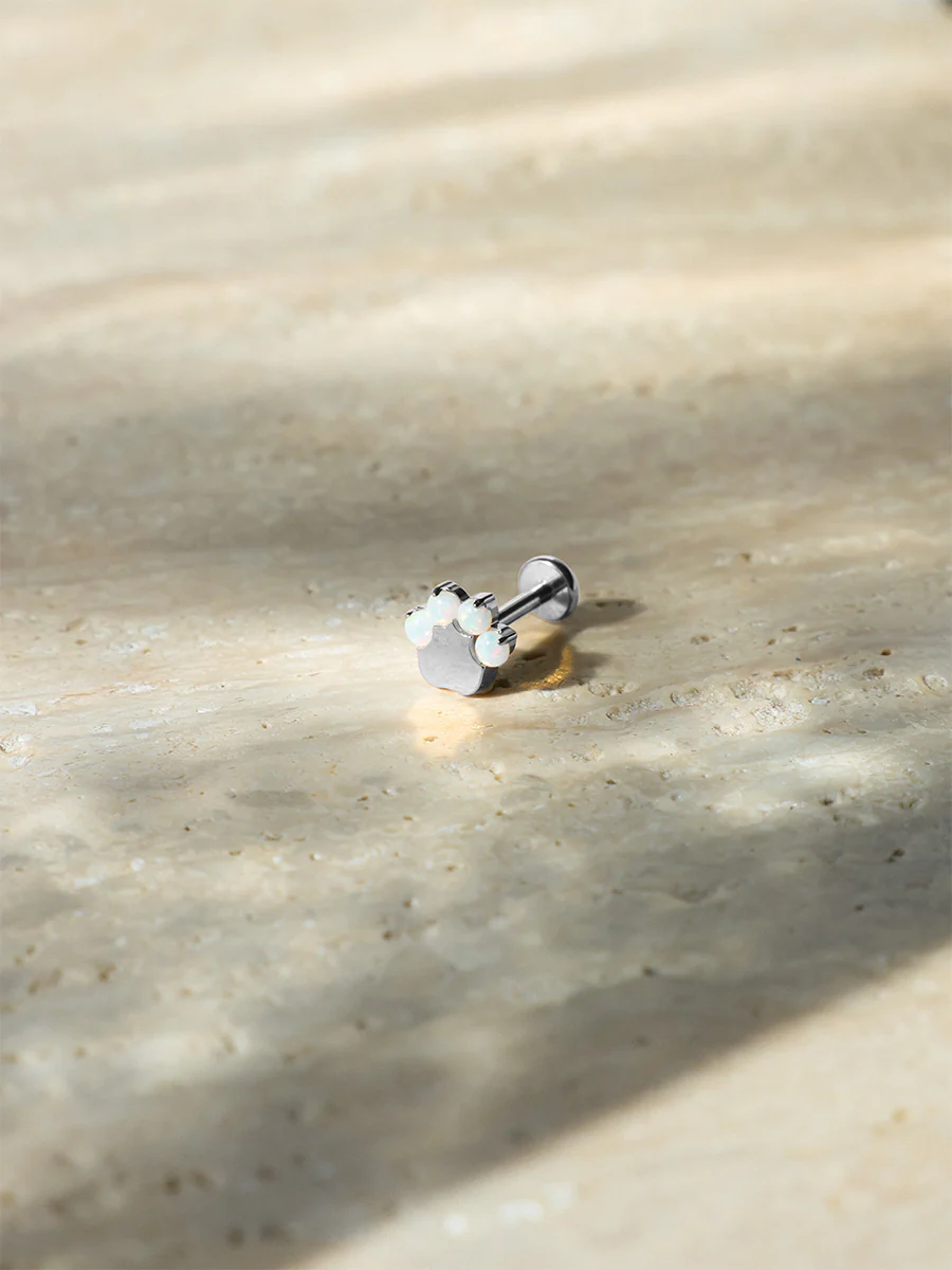 Paw Glow Titan Piercing - Image 2
