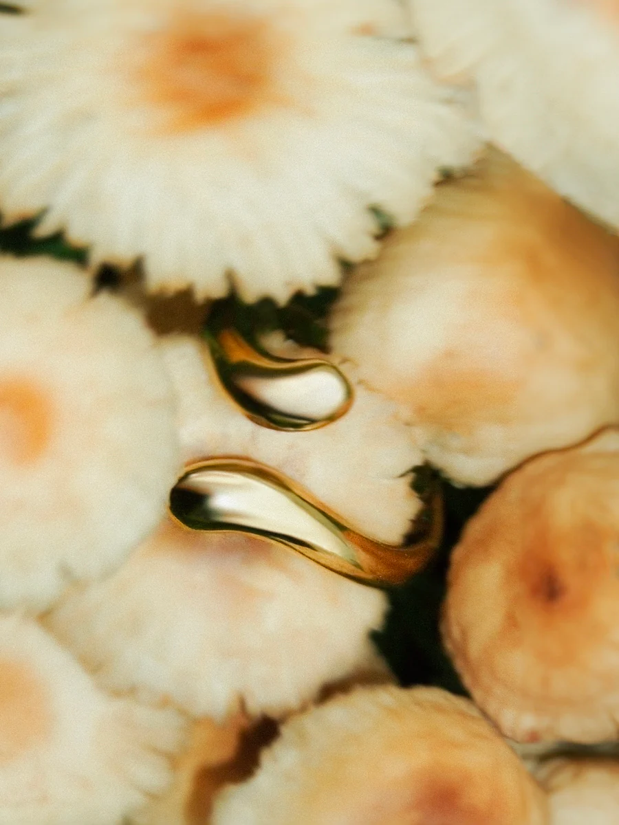 Premium Ring - Image 7