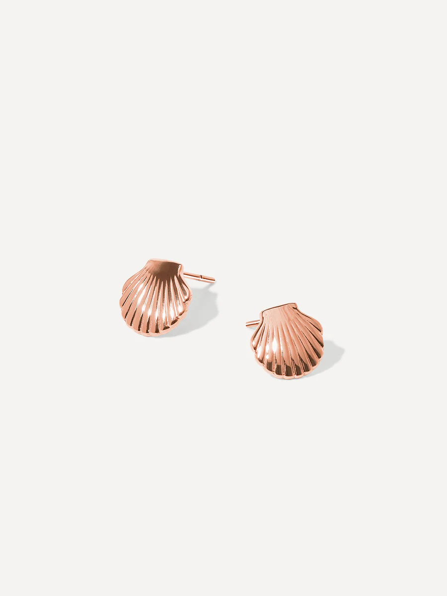 Pure Shell Ohrringe - Image 7