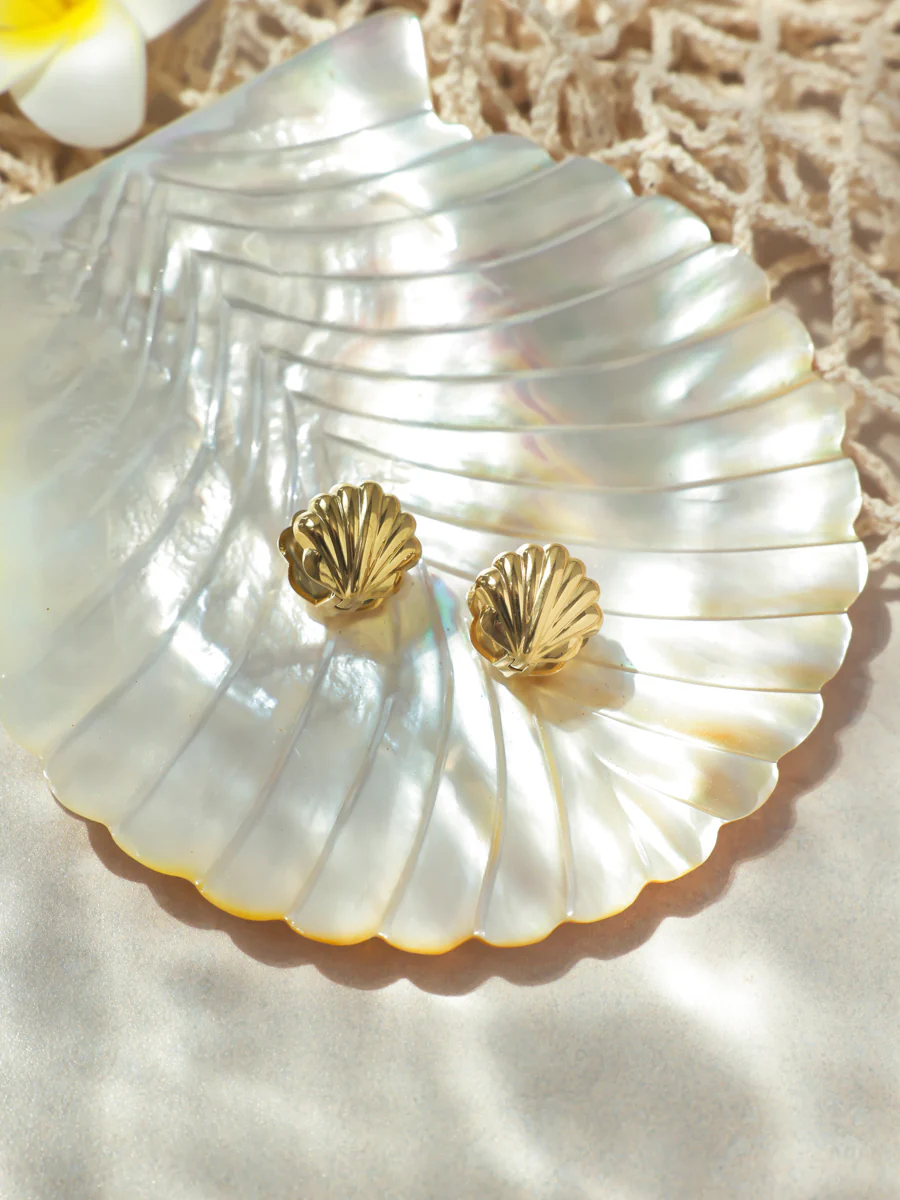Shell Melody Ohrringe - Image 4