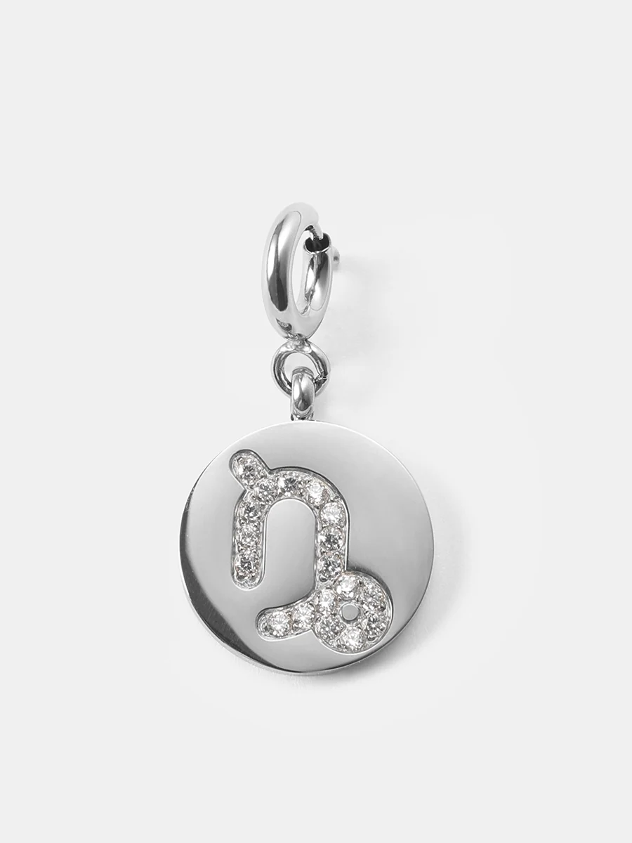 Twinkling Zodiac Ketten-Charm - Capricorn - Image 7